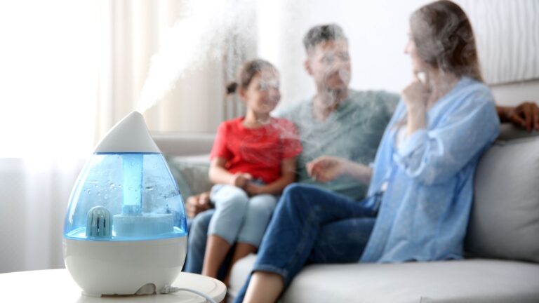 Can your humidifier be the secret to beating the winter chill? I asked the experts