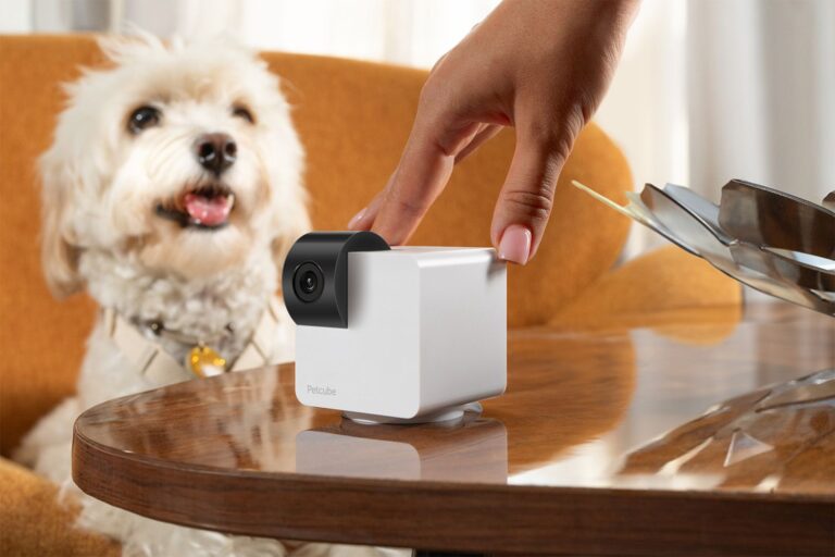 Petcube Black Friday Deals Save Up to 47 Percent