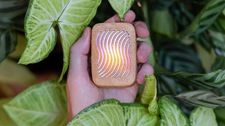 12 Best Gifts for Plant Lovers: Tech Edition 12 Best Gifts for Plant Lovers: Tech Edition