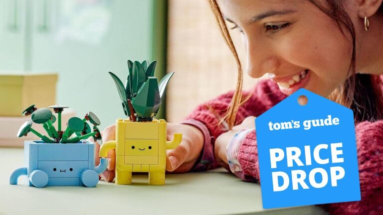 13 Lego Christmas deals you can still get now with in-store pickup Person building a Lego Botanicals Happy Plants set