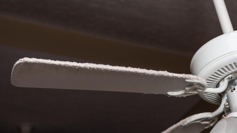 15 Spots in Your Home You May Be Overlooking When You Clean Fan blade on ceiling fan and light fixture in need of cleaning to remove dust and fluff along the edge