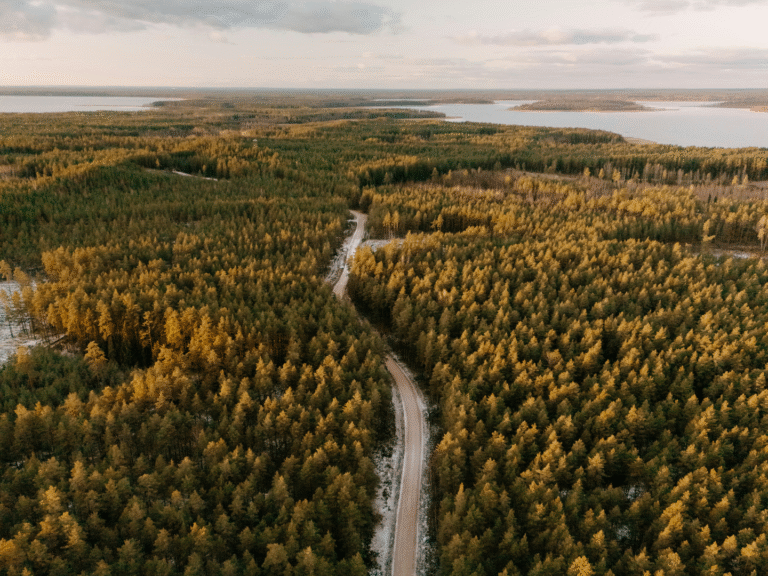 How I Prepared My Social Media for an Extended Medical Leave