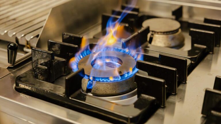 Stove burner
