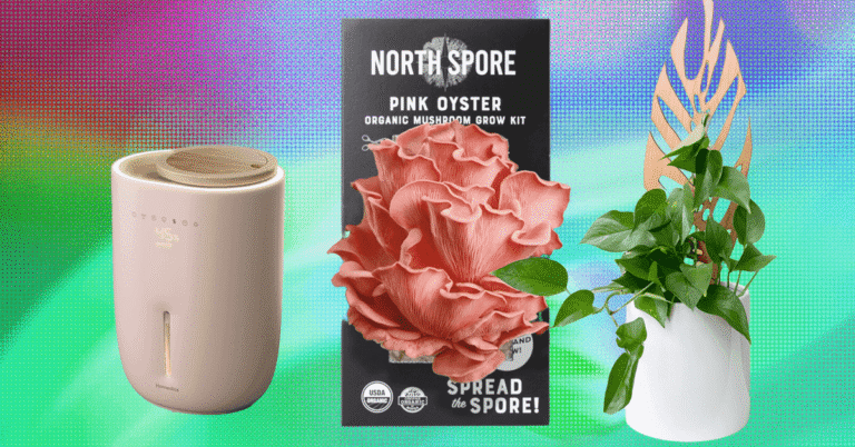 The 17 Best Gifts for Plant Lovers We’d Buy Ourselves (2025)