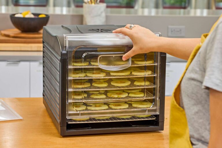 The 4 Best Food Dehydrators of 2025, Tested & Reviewed The 4 Best Food Dehydrators of 2025, Tested & Reviewed