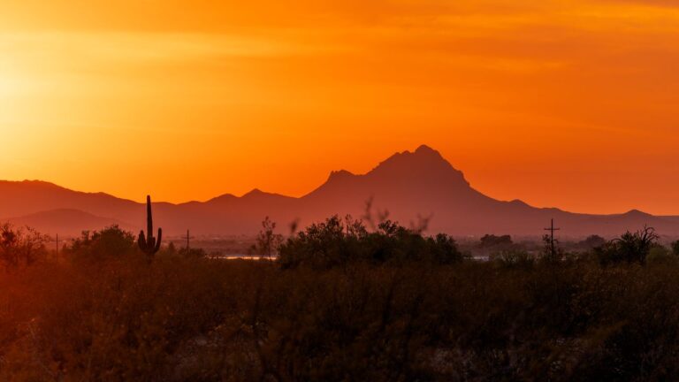 Why Tucson’s Desert Food Scene Is Unlike Anywhere Else in America