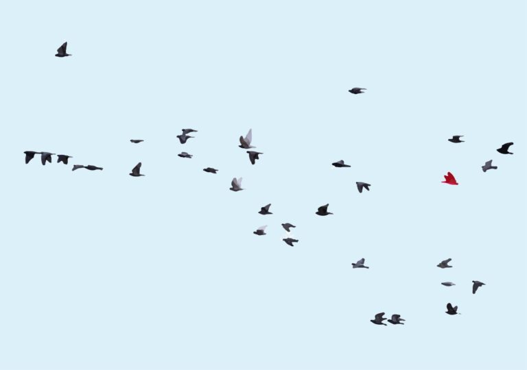 A Geometric Method to Spot Hallucinations Without an LLM Judge