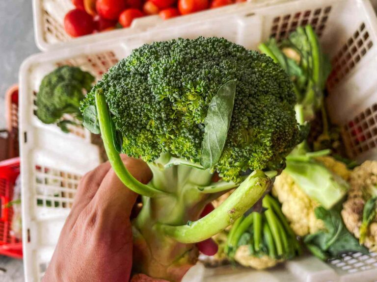 How To Wash Broccoli To Remove Dirt and Pesticides, According to a Registered Dietitian