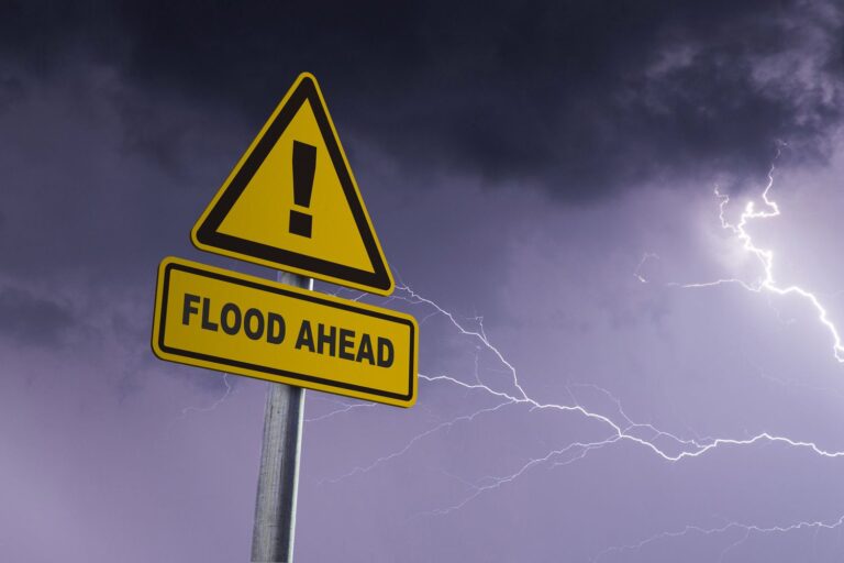 Our 3 Favorite Flood Apps of 2026