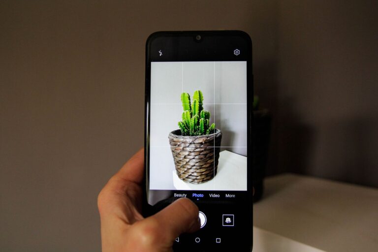 The 5 Best Photo Editor Apps of 2026