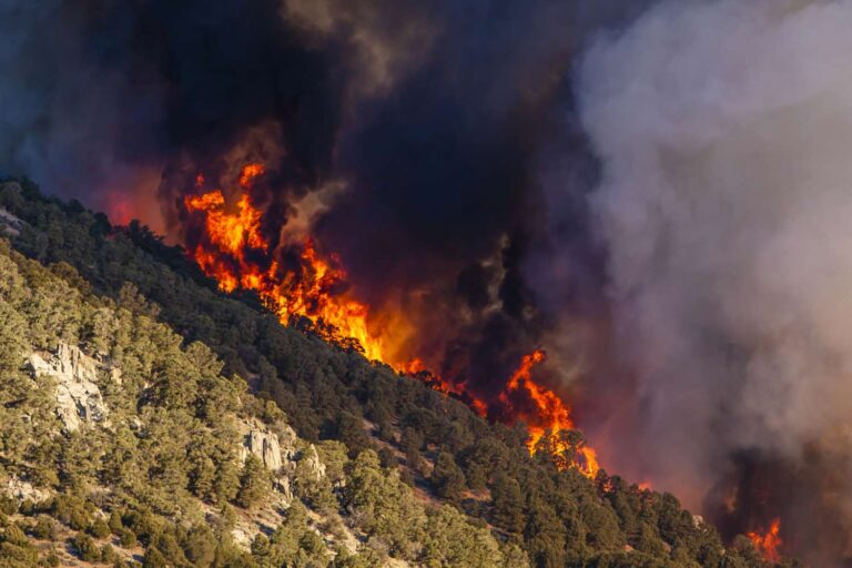 The 5 Most Useful Fire Maps of 2026