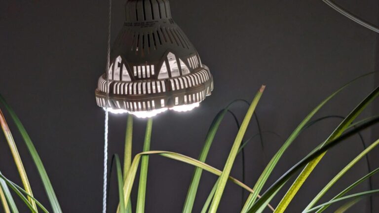 Here's All the Tech I Use to Help My Houseplants Thrive in Winter