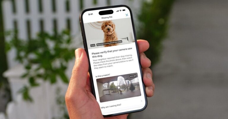 Ring now lets anyone use the Neighbors app to report and find lost pets