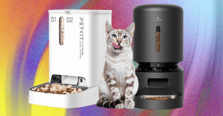 These 10 Automatic Cat Feeders Were the Best We Tested (2026) These 10 Automatic Cat Feeders Were the Best We Tested (2026)