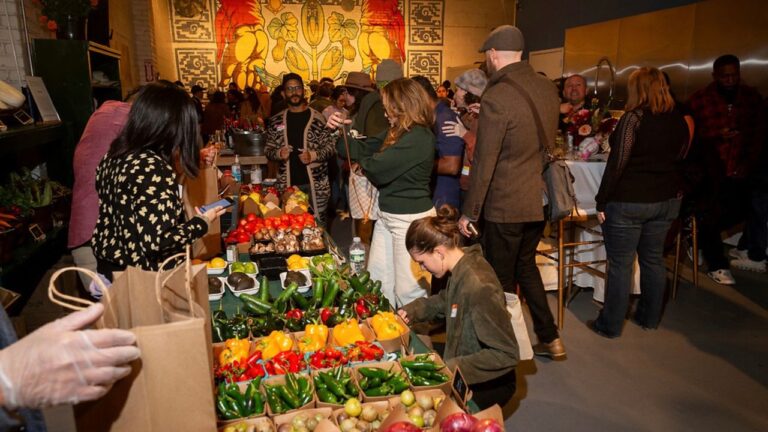 Why Mutual Aid Succeeds When Federal Funding Dries Up