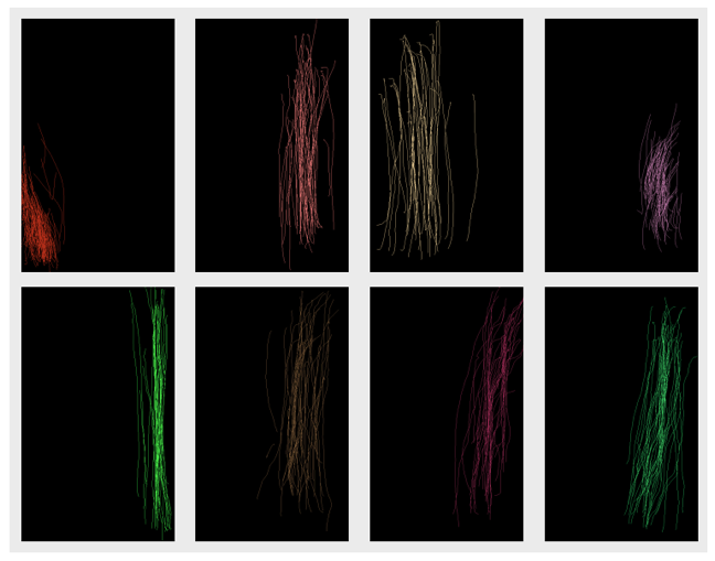 Behavior is the New Credential Analysis of scroll patterns in the Touchalytics research paper by U.C. Berkeley.