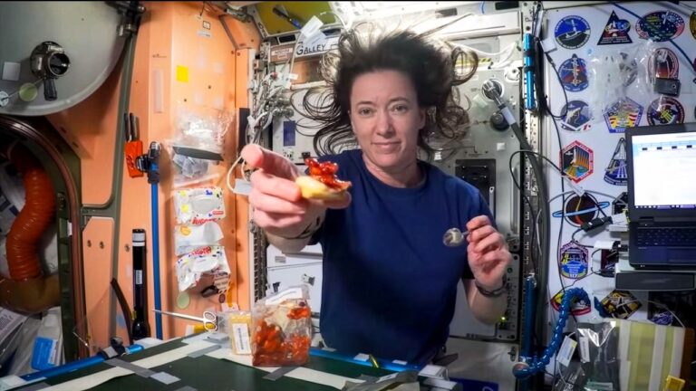 The Artemis II Mission Has Five Separate Hot Sauces For Some Reason
