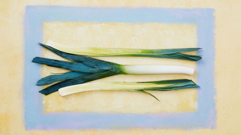 We’re Going to Stop Trying to Make ‘Allium’ Happen We’re Going to Stop Trying to Make ‘Allium’ Happen